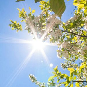 破尘引-整曲 伴奏