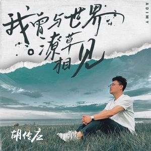 我曾与世界潦草相见