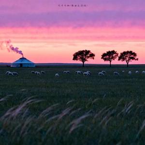 同手同脚 (舞曲氛围版)