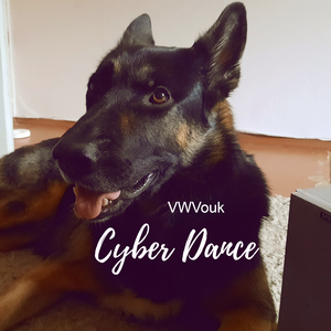 Funny Life (Original Mix)