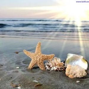 清如许 (剪辑版)