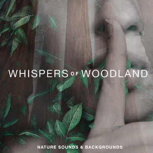 Tree Branch Rain Shelter