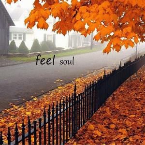 feel soul