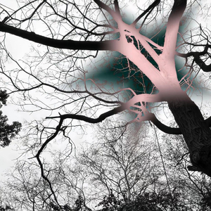 Casey Thai Luong-落花有意随流水（大乔木子 remix）