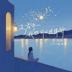 没有你我也可以过得好 (DJ魅音版)