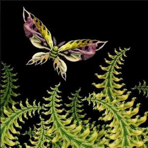 好好爱这个世界 (热力版)