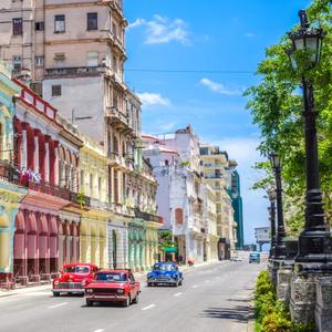 Midnight Arp İn Havana