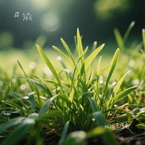 我从草原来（Cover 凤凰传奇）