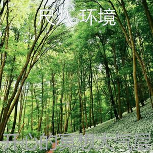 抚慰的松弛回忆