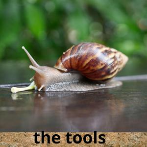 the tools