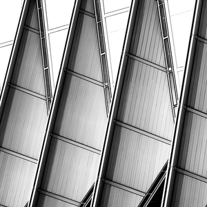 我们会在晚风里遇见