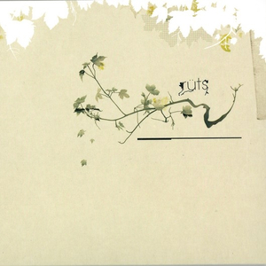 Lto Mess (Visual Version)