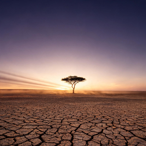 Choosin' Texas (Cover)