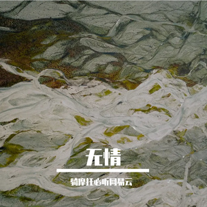 夜林与宇宙间的凝结迷雾