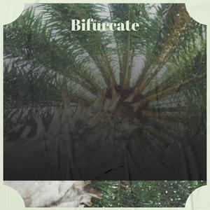 Bifurcate