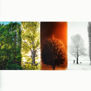 四分零九的四季