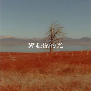 奔赴你的光