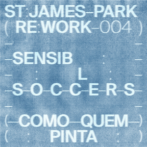 Como Quem Pinta (St. James Park Remix)