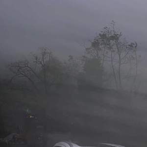 在无人清醒的夜里