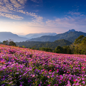 Momentos De Tranquilidad