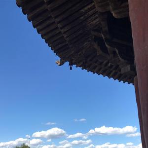 师小涛-风铃（师小涛/马晨浩remix）