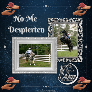 No Me Despierten