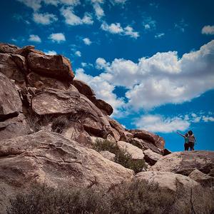 Leaves (feat. Aleen) (Acoustic)