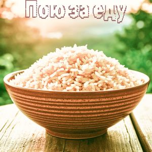 Содержанка: фанатская версия