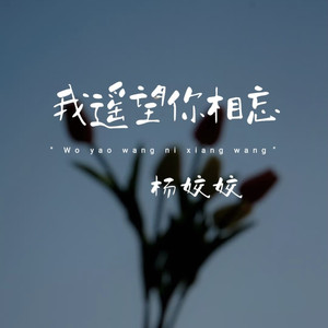 我遥望你相忘