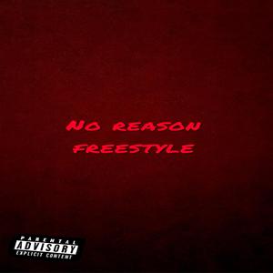 No Reason Freestyle (feat. Stevo Wildboy)
