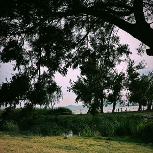 “我们总是装作”(Prod EVOMUSICSiren&YUSENISHERE)