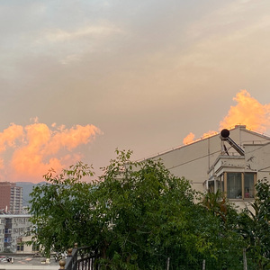 沉沦与遐想+花花公子