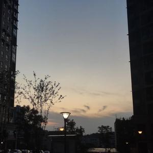 短发