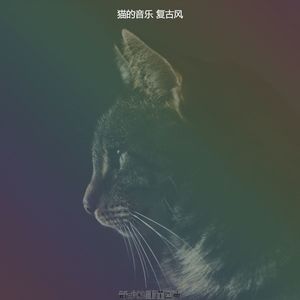 有趣放松的猫情怀