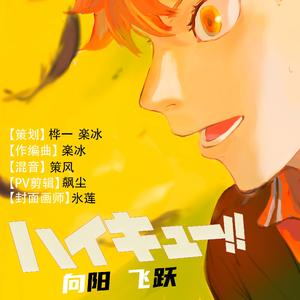 向阳 飞跃【排球少年纯音印象曲】