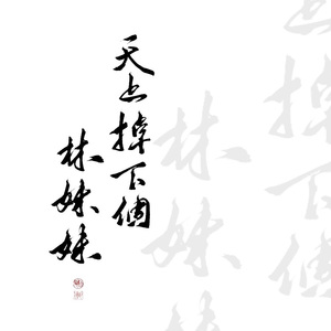 天上掉下个林妹妹