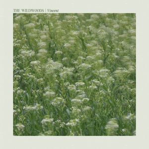 Vincent (At Home Version)