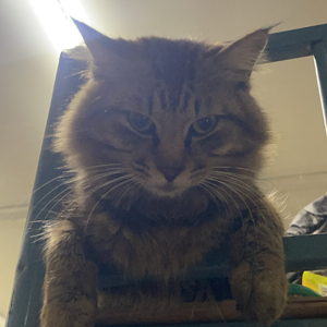 最痛的是我的心甘情愿