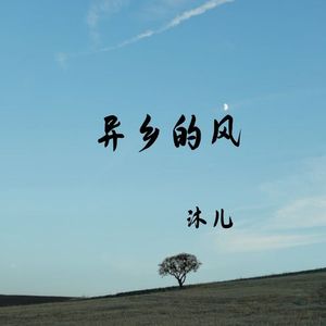异乡的风