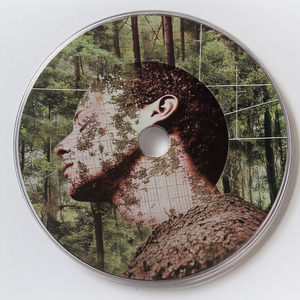 Wakeful Dream Serenity