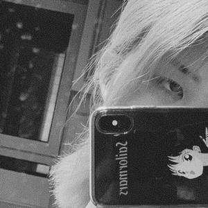 这只伶俐的棕色狐狸跳过一只懒惰的狗