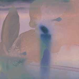 Confused Appearance (Slowed)