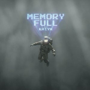 Memory Full