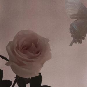 bubble（Prod by WayMen）