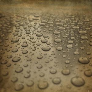 Rain (Avraham Solodar)
