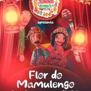 São João dos mamulengos