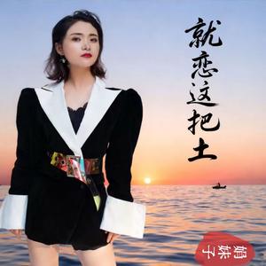 就恋这把土（DJ版）