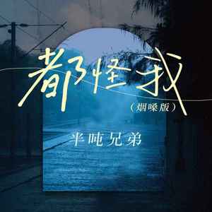 都怪我 (烟嗓版)