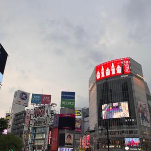 shibuya