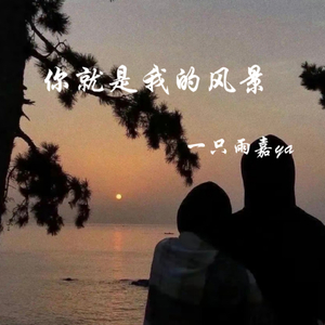 你就是我的风景